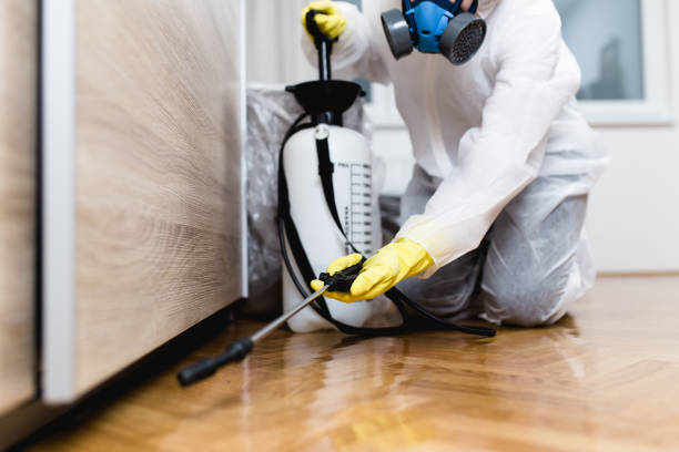 Best Flea Control Services  in Somerset, OH