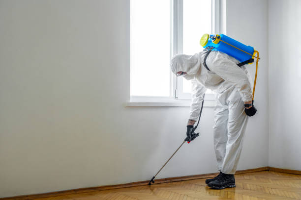 Best Bed Bug Extermination  in Somerset, OH